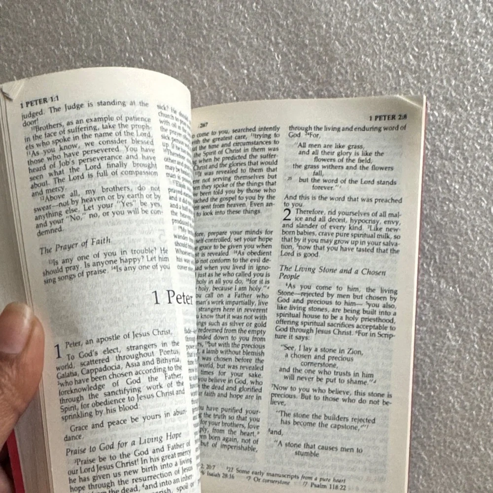 Classic Pocket Red New Testament NIV Book.